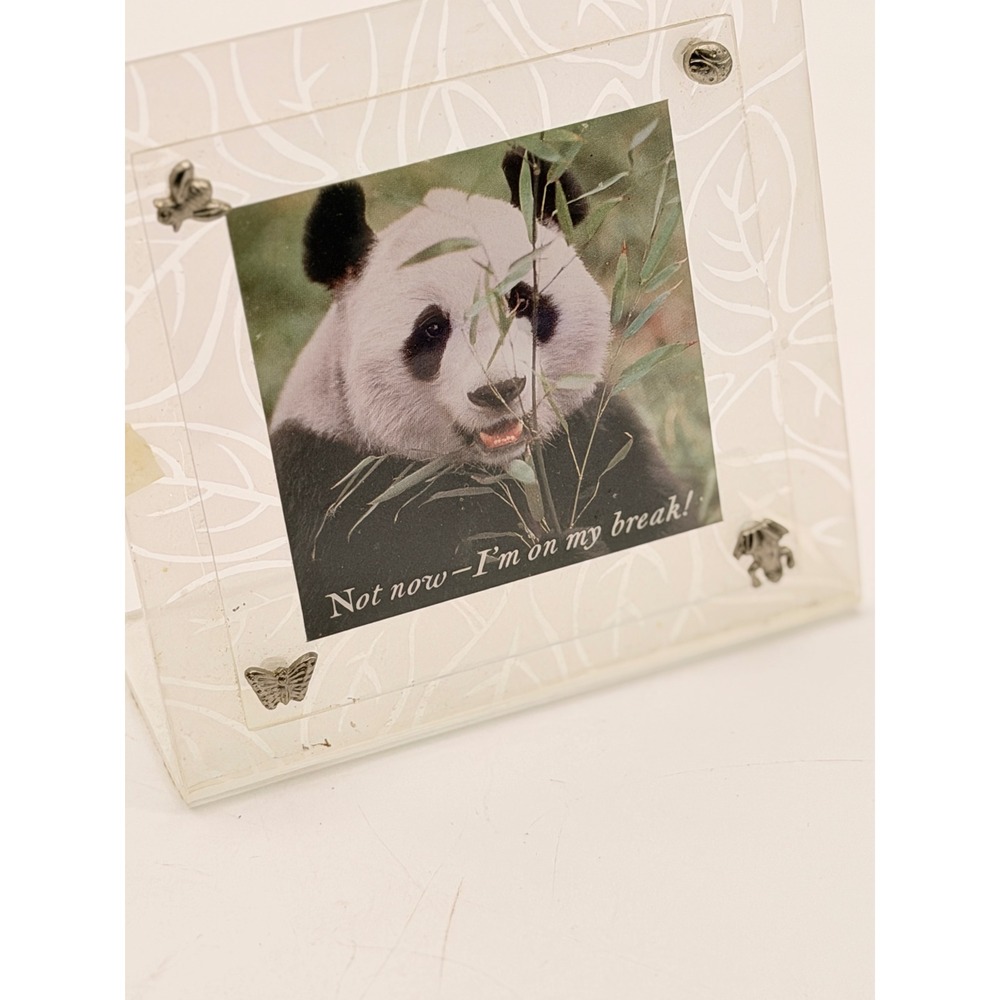 Frosted Acrylic Picture Frame with Metal Bug Accents Butterfly Bee Frog Panda